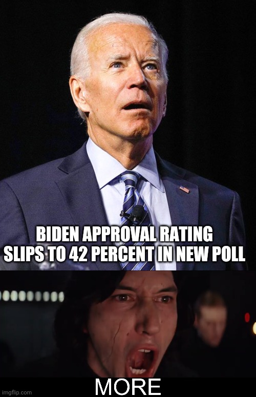 Keeps going down | BIDEN APPROVAL RATING SLIPS TO 42 PERCENT IN NEW POLL | image tagged in joe biden,kylo ren more | made w/ Imgflip meme maker
