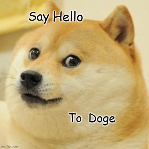 Say Hi | Say; Hello; To; Doge | image tagged in memes,doge | made w/ Imgflip meme maker
