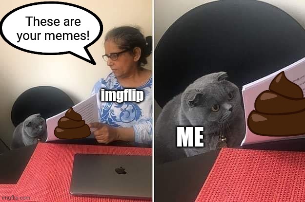 Life is so hard on the little ones! | These are your memes! imgflip; ME | image tagged in woman showing paper to cat,memes,imgflip,poop,life is so hard | made w/ Imgflip meme maker