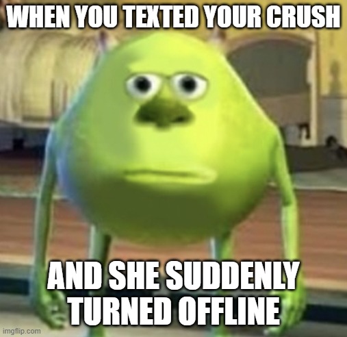 Ahhh, me heart | WHEN YOU TEXTED YOUR CRUSH; AND SHE SUDDENLY TURNED OFFLINE | image tagged in mike wazowski face swap | made w/ Imgflip meme maker