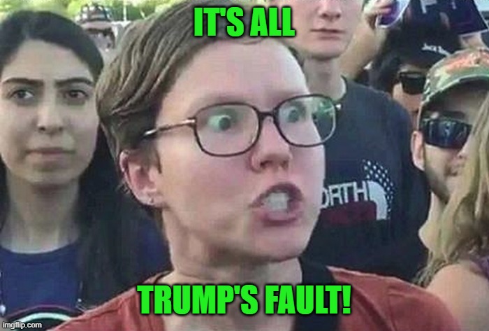 Triggered Liberal | IT'S ALL TRUMP'S FAULT! | image tagged in triggered liberal | made w/ Imgflip meme maker
