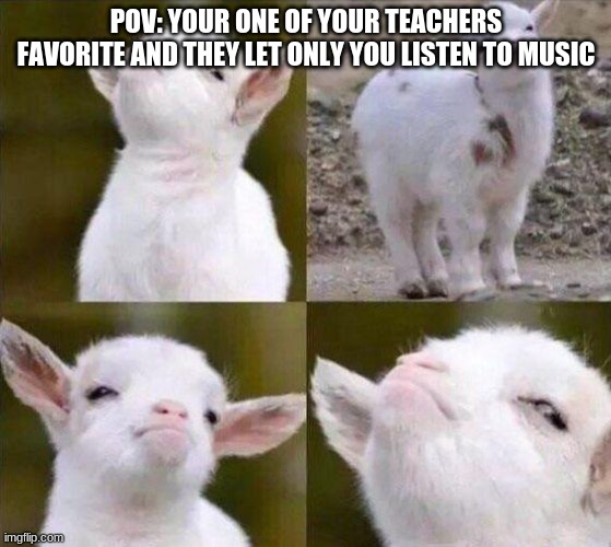 Smug Goat | POV: YOUR ONE OF YOUR TEACHERS FAVORITE AND THEY LET ONLY YOU LISTEN TO MUSIC | image tagged in smug goat | made w/ Imgflip meme maker
