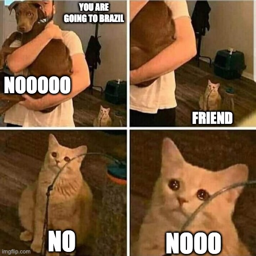 Sad Cat Holding Dog | YOU ARE GOING TO BRAZIL; NOOOOO; FRIEND; NO; NOOO | image tagged in sad cat holding dog | made w/ Imgflip meme maker