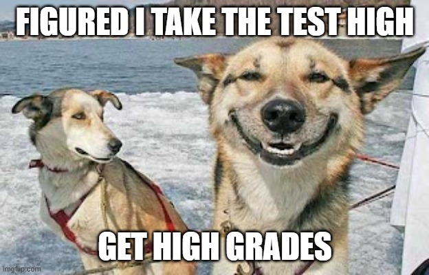 Original Stoner Dog Meme | FIGURED I TAKE THE TEST HIGH GET HIGH GRADES | image tagged in memes,original stoner dog | made w/ Imgflip meme maker