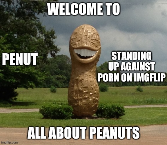 Welcome | WELCOME TO; ALL ABOUT PEANUTS | image tagged in penut | made w/ Imgflip meme maker