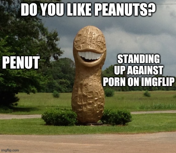 https://imgflip.com/m/All_about_peanuts link also in comments | DO YOU LIKE PEANUTS? | image tagged in penut | made w/ Imgflip meme maker