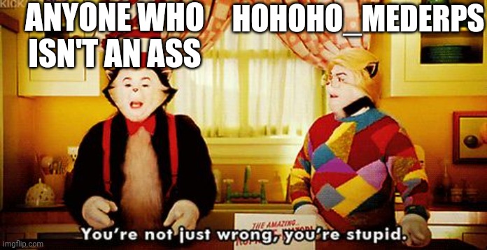 You're not just wrong, you're stupid. | ANYONE WHO ISN'T AN ASS HOHOHO_MEDERPS | image tagged in you're not just wrong you're stupid | made w/ Imgflip meme maker
