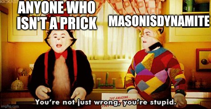 You're not just wrong, you're stupid. | ANYONE WHO ISN'T A PRICK MASONISDYNAMITE | image tagged in you're not just wrong you're stupid | made w/ Imgflip meme maker