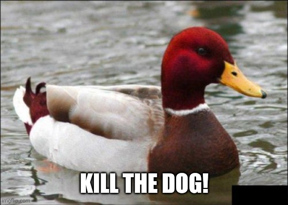 Malicious Advice Mallard Meme | KILL THE DOG! | image tagged in memes,malicious advice mallard | made w/ Imgflip meme maker