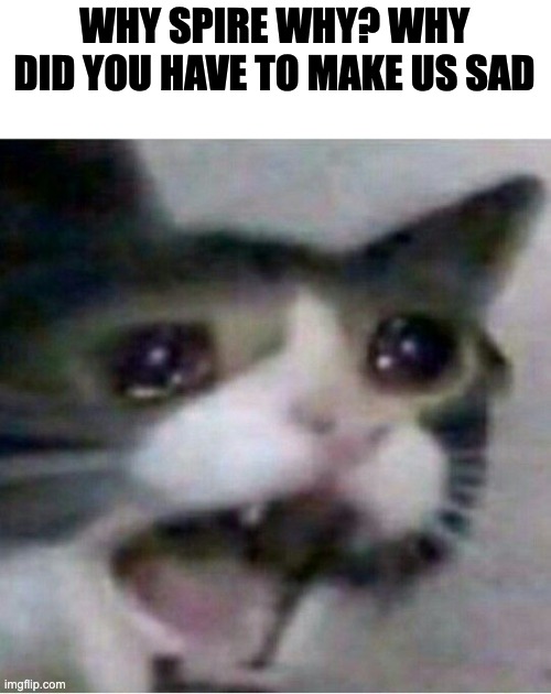 meme man maykes memes | WHY SPIRE WHY? WHY DID YOU HAVE TO MAKE US SAD | image tagged in crying cat | made w/ Imgflip meme maker