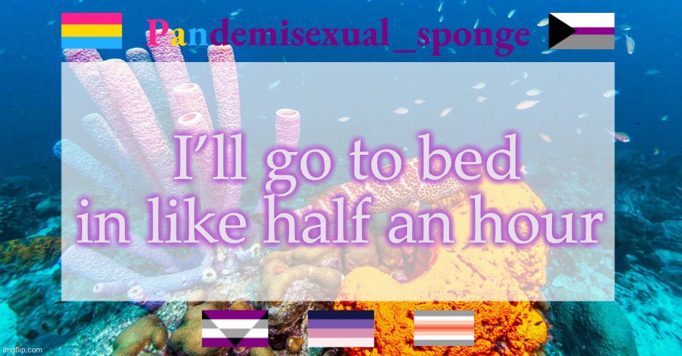 It’s 00:30 for me | I’ll go to bed in like half an hour | image tagged in pandemisexual_sponge temp,demisexual_sponge | made w/ Imgflip meme maker