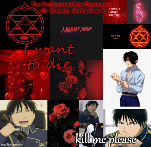 I am a professional Roy Mustang simp | I want to die; kill me please | image tagged in i am a professional roy mustang simp | made w/ Imgflip meme maker