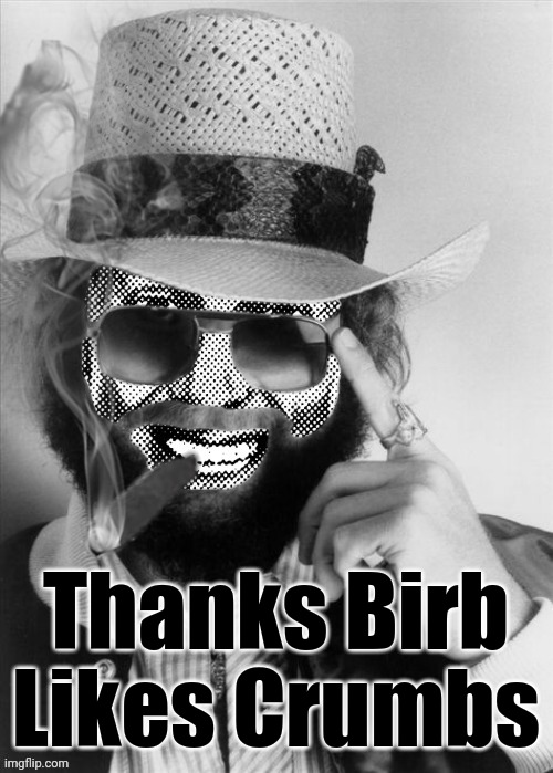 Hank Strangmeme Jr | Thanks Birb Likes Crumbs | image tagged in hank strangmeme jr | made w/ Imgflip meme maker