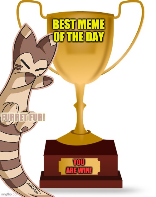 BEST MEME OF THE DAY YOU ARE WIN! FURRET FUR! | made w/ Imgflip meme maker