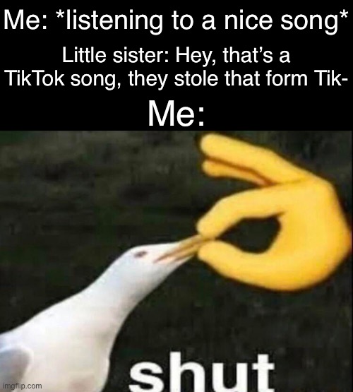 SHUT | Me: *listening to a nice song*; Little sister: Hey, that’s a TikTok song, they stole that form Tik-; Me: | image tagged in shut | made w/ Imgflip meme maker