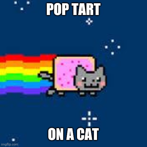 What nyan cat is | POP TART; ON A CAT | image tagged in nyan cat | made w/ Imgflip meme maker