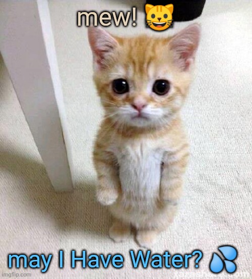 What A Cat Is | mew! 🐱; may I Have Water? 💦 | image tagged in cats,meow,water,good,cat,mew | made w/ Imgflip meme maker