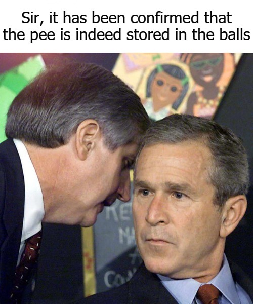 Sir, it has been confirmed that the pee is indeed stored in the balls | image tagged in peebody | made w/ Imgflip meme maker
