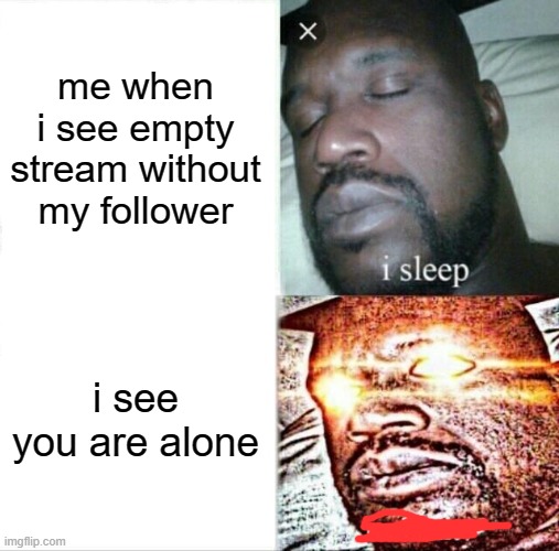 u | me when i see empty stream without my follower; i see you are alone | image tagged in memes,sleeping shaq | made w/ Imgflip meme maker