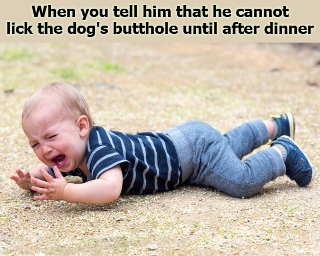 When you tell him that he cannot lick the dog's butthole until after dinner | image tagged in happy meal | made w/ Imgflip meme maker