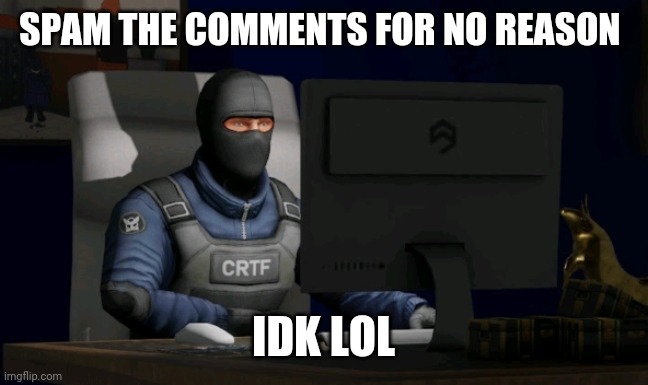 counter-terrorist looking at the computer | SPAM THE COMMENTS FOR NO REASON; IDK LOL | image tagged in computer | made w/ Imgflip meme maker