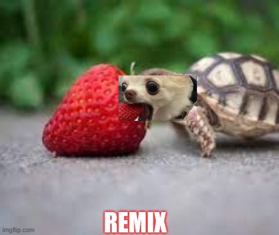 REMIX | made w/ Imgflip meme maker