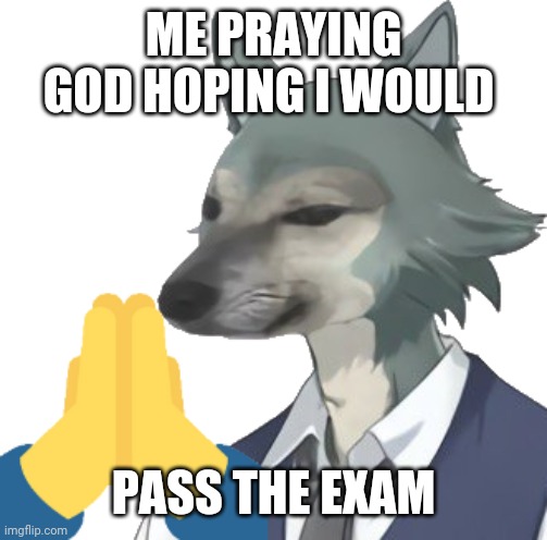 Hmm | ME PRAYING GOD HOPING I WOULD; PASS THE EXAM | image tagged in hmm rabbet dorime | made w/ Imgflip meme maker