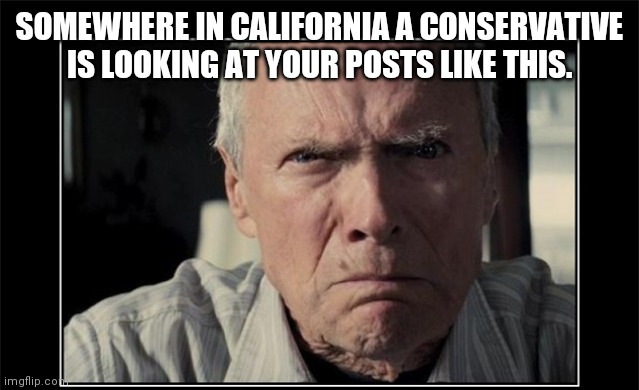 SOMEWHERE IN CALIFORNIA A CONSERVATIVE IS LOOKING AT YOUR POSTS LIKE THIS. | made w/ Imgflip meme maker