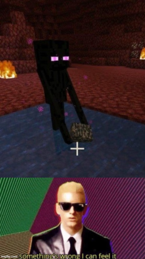 what the- | image tagged in something's wrong i can feel it,minecraft,enderman | made w/ Imgflip meme maker