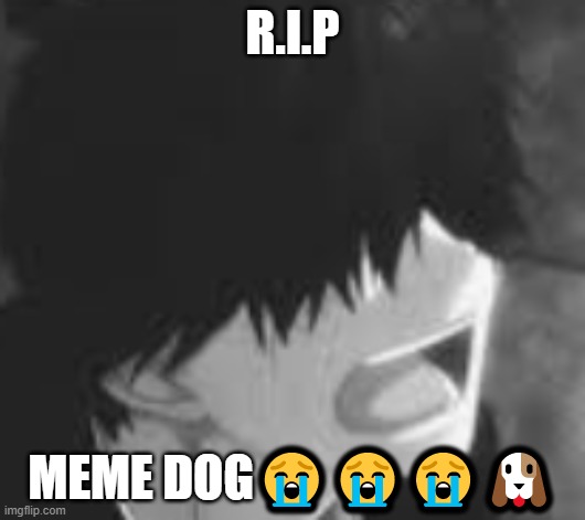 sad | R.I.P; MEME DOG😭😭😭🐶 | image tagged in sadness | made w/ Imgflip meme maker