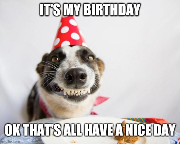birthday dog |  IT'S MY BIRTHDAY; OK THAT'S ALL HAVE A NICE DAY | image tagged in birthday dog | made w/ Imgflip meme maker
