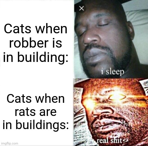 Sleeping Shaq | Cats when robber is in building:; Cats when rats are in buildings: | image tagged in memes,sleeping shaq,warrior cats | made w/ Imgflip meme maker