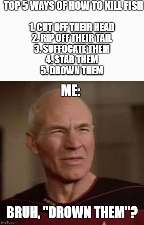 How to kill fish | TOP 5 WAYS OF HOW TO KILL FISH; 1. CUT OFF THEIR HEAD
2. RIP OFF THEIR TAIL
3. SUFFOCATE THEM
4. STAB THEM
5. DROWN THEM; ME:; BRUH, "DROWN THEM"? | image tagged in white box,squinty picard,fish,how to,meme,funny | made w/ Imgflip meme maker