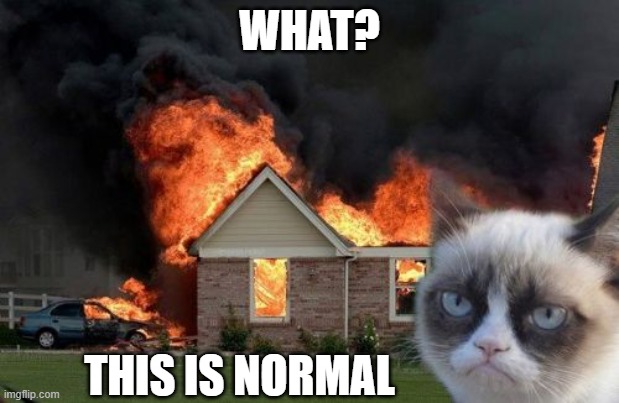 Burn Kitty | WHAT? THIS IS NORMAL | image tagged in memes,burn kitty,grumpy cat,funny,house | made w/ Imgflip meme maker