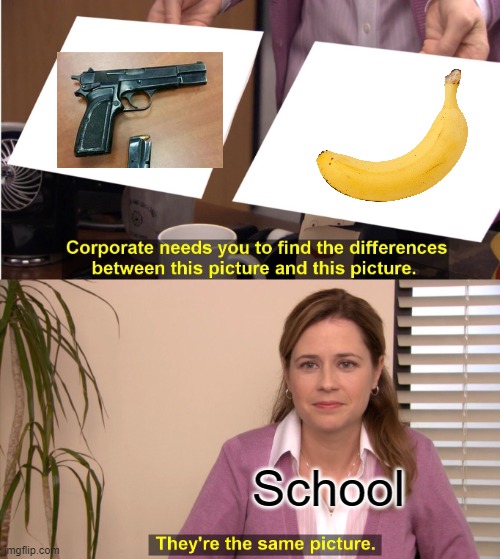They're The Same Picture | School | image tagged in memes,they're the same picture | made w/ Imgflip meme maker