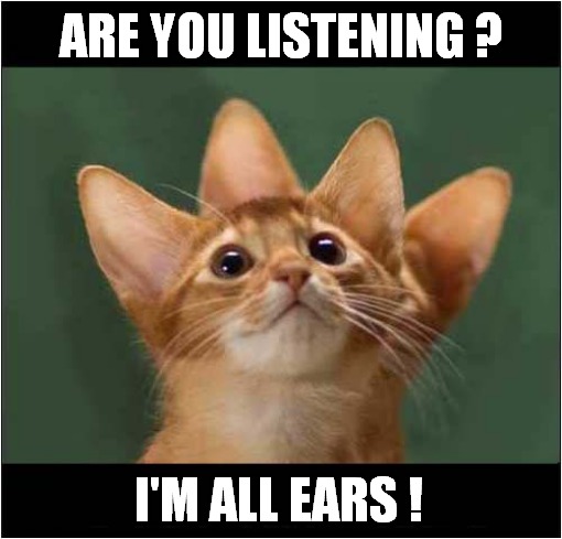 Hello Kitty ! | ARE YOU LISTENING ? I'M ALL EARS ! | image tagged in cats,listening | made w/ Imgflip meme maker