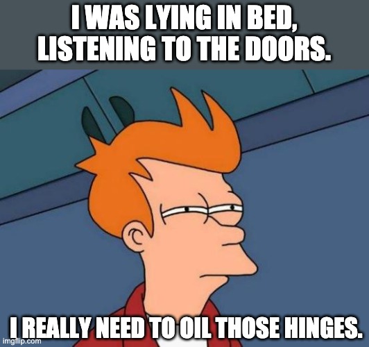 Doors | I WAS LYING IN BED, LISTENING TO THE DOORS. I REALLY NEED TO OIL THOSE HINGES. | image tagged in memes,futurama fry | made w/ Imgflip meme maker