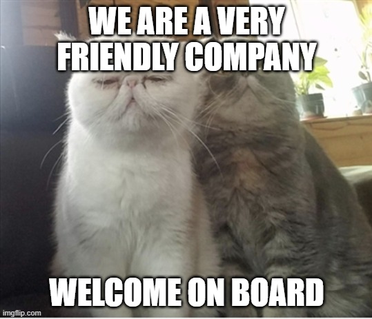 WE ARE A VERY FRIENDLY COMPANY; WELCOME ON BOARD | image tagged in work | made w/ Imgflip meme maker