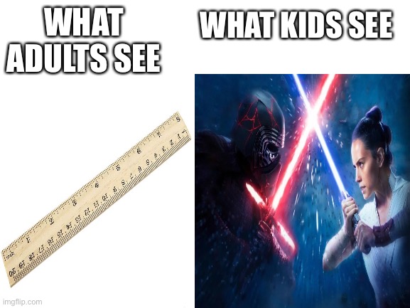 Sword/Ruler fight | WHAT KIDS SEE; WHAT ADULTS SEE | image tagged in memes,ruler | made w/ Imgflip meme maker