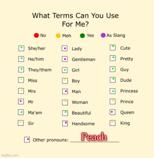 Updated pronoun checklist | Peach | image tagged in pronouns sheet | made w/ Imgflip meme maker