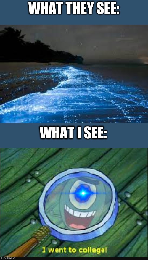 WHAT THEY SEE:; WHAT I SEE: | image tagged in biology | made w/ Imgflip meme maker