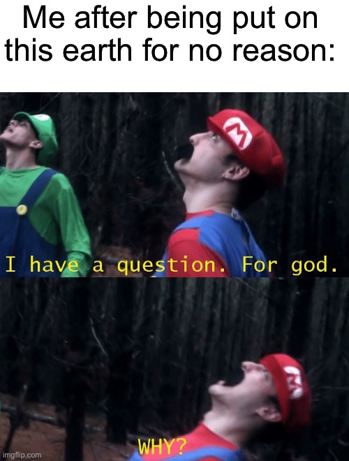 There’s no reason for me to be on this earth | Me after being put on this earth for no reason: | image tagged in i have a question for god why | made w/ Imgflip meme maker