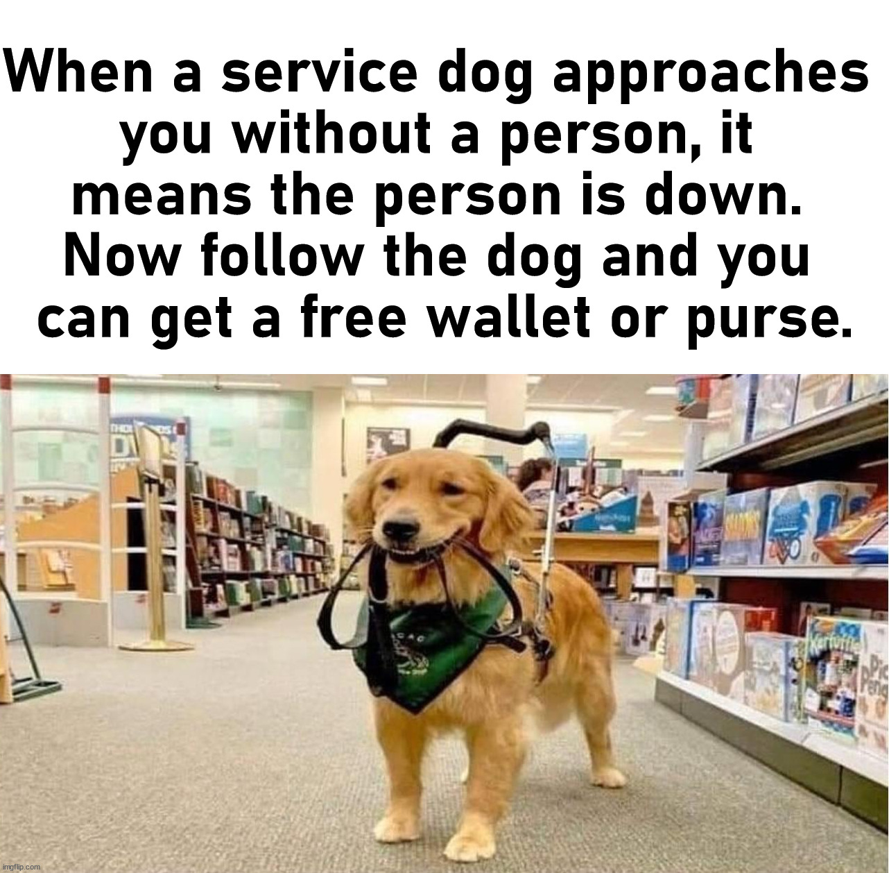 When a service dog approaches 
you without a person, it 
means the person is down. 
Now follow the dog and you 
can get a free wallet or purse. | image tagged in dark humor | made w/ Imgflip meme maker