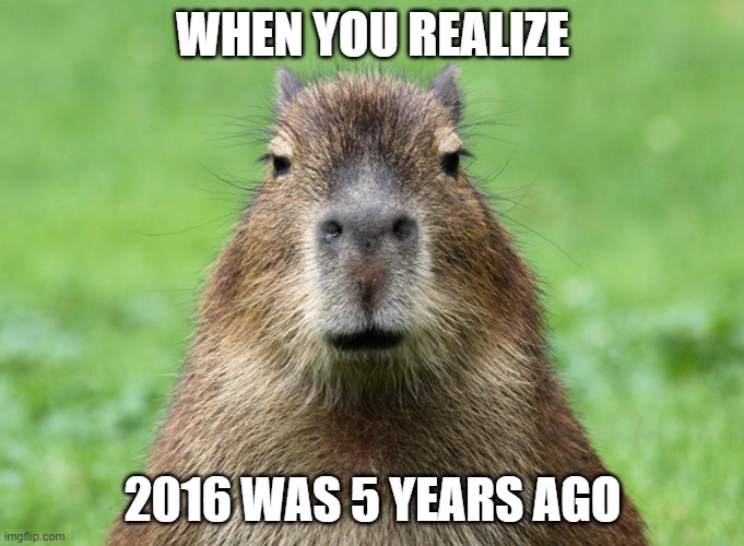 Capybara is not amused | WHEN YOU REALIZE; 2016 WAS 5 YEARS AGO | image tagged in capybara is not amused | made w/ Imgflip meme maker
