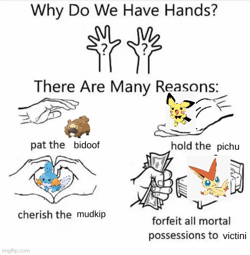 Why do we have hands? (all blank) | bidoof; pichu; mudkip; victini | image tagged in why do we have hands all blank | made w/ Imgflip meme maker