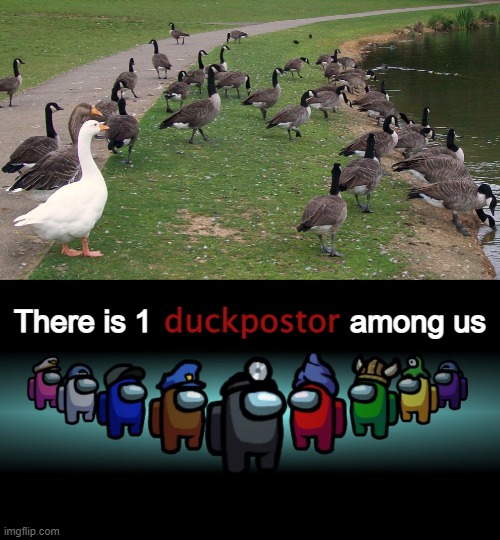  duckpostor; There is 1                       among us | image tagged in there is one impostor among us | made w/ Imgflip meme maker