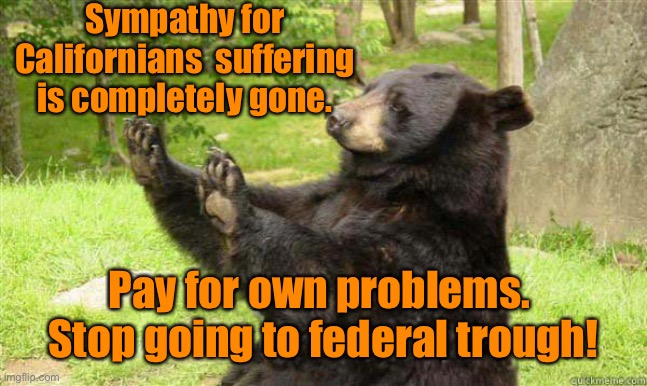 How about no bear | Sympathy for Californians  suffering is completely gone. Pay for own problems.  Stop going to federal trough! | image tagged in how about no bear | made w/ Imgflip meme maker