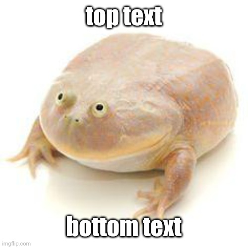 Wednesday Frog Blank | top text bottom text | image tagged in wednesday frog blank | made w/ Imgflip meme maker