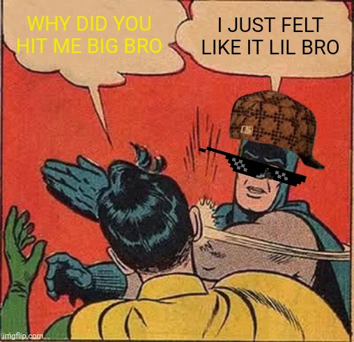 Batman Slapping Robin | WHY DID YOU HIT ME BIG BRO; I JUST FELT LIKE IT LIL BRO | image tagged in memes,batman slapping robin | made w/ Imgflip meme maker