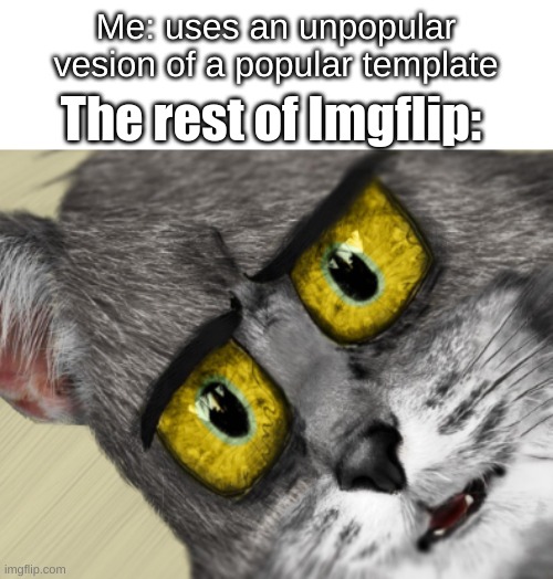Credit to the anonoymous user who uploaded the template last year | Me: uses an unpopular vesion of a popular template; The rest of Imgflip: | image tagged in unsettled tom,imgflip,oh wow are you actually reading these tags,stop reading the tags,ha ha tags go brr,i ran out of tags | made w/ Imgflip meme maker